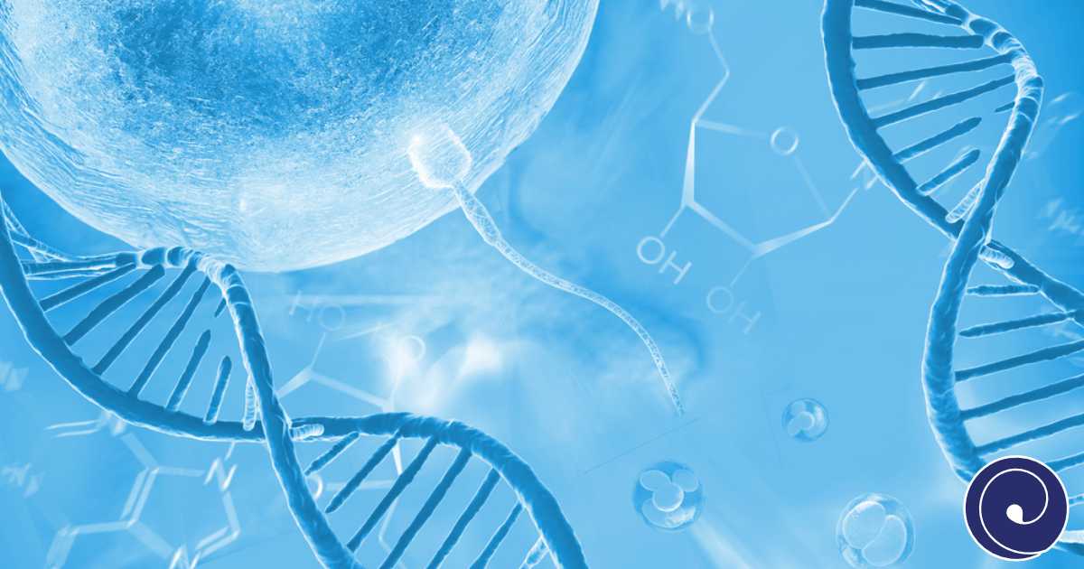 Preimplantacijsko genetsko testiranje (PGT)