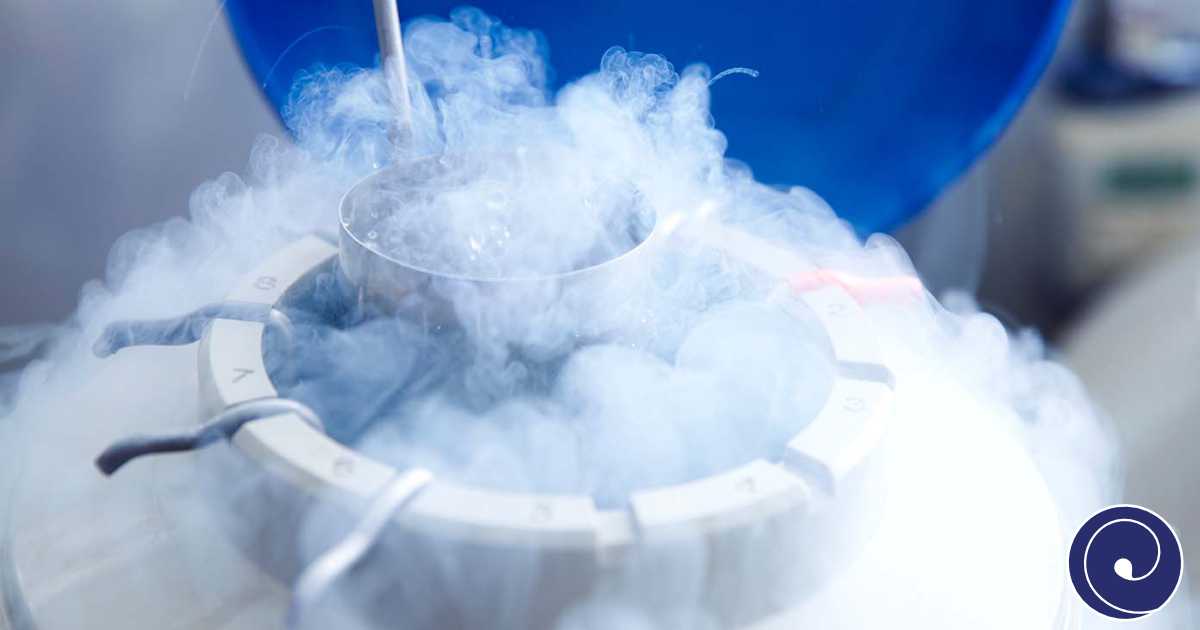 Zamrzavanje embrija u vantjelesnoj oplodnji 